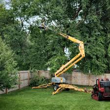 Soil Testing and Treatment in Fife Heights, WA